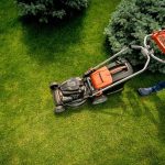 Summer Lawn Care
